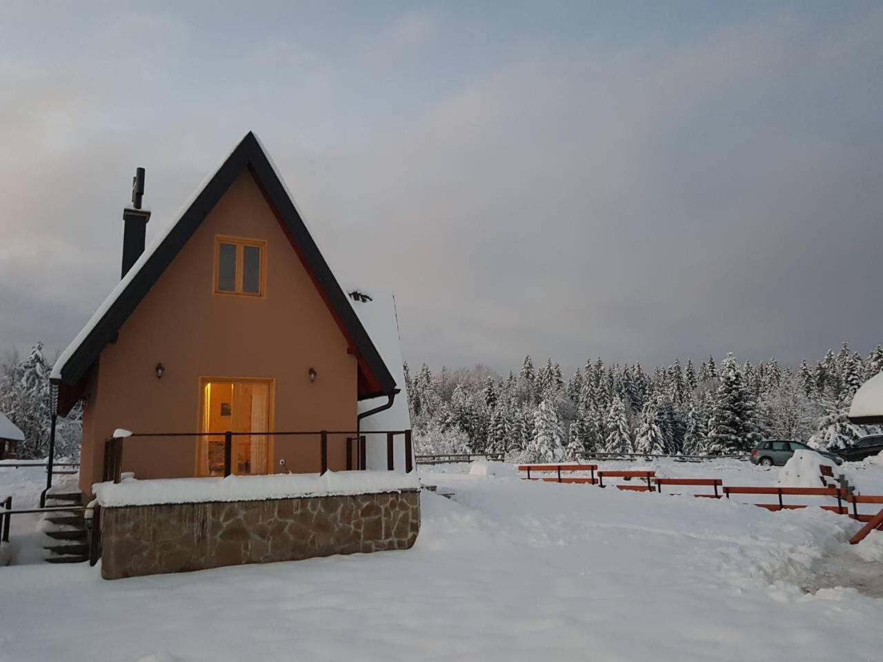 Mountain House Popovic Tara Villa Bajina Basta Dış mekan fotoğraf