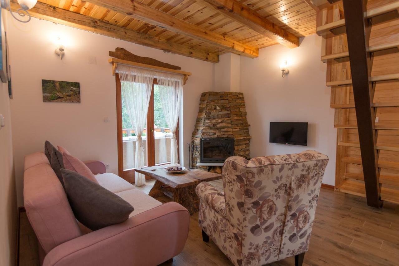 Mountain House Popovic Tara Villa Bajina Basta Dış mekan fotoğraf