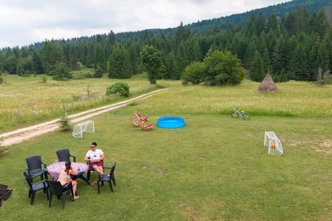 Mountain House Popovic Tara Villa Bajina Basta Dış mekan fotoğraf